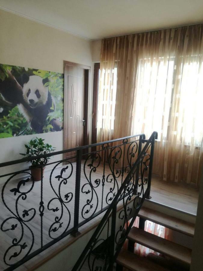 Happy Pandasn12 Hotel Боржоми Екстериор снимка